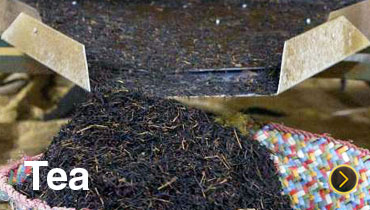 Black Tea